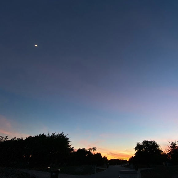 Meet your Posher, Ariel - Picture 1 of 1